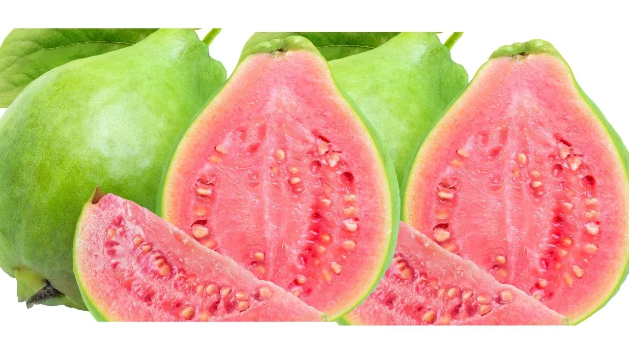 guavameyvesihangihastaliklaraiyigelir.webp